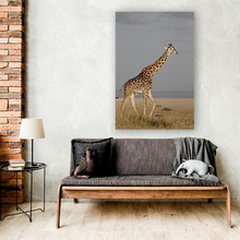 Load image into Gallery viewer, ANI-02 Natural world giraffe Canvas Wall Art Décor Picture Framed