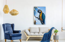 Load image into Gallery viewer, ANI-04 Natural world Parrot Print Wall Art Décor Picture Framed