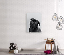 Load image into Gallery viewer, ANI-06 Natural world dog black & white Print Wall Art Décor Picture Framed