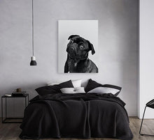 Load image into Gallery viewer, ANI-06 Natural world dog black & white Print Wall Art Décor Picture Framed