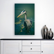 Lade das Bild in den Galerie-Viewer, ANI-07 Natural world bird Print Wall Art Décor Picture Framed