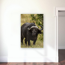 Lade das Bild in den Galerie-Viewer, ANI-09 Natural World Buffalo Print Wall Art Décor Picture Framed