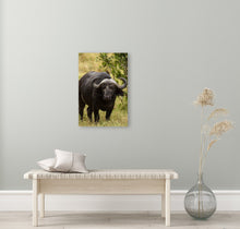 Lade das Bild in den Galerie-Viewer, ANI-09 Natural World Buffalo Print Wall Art Décor Picture Framed