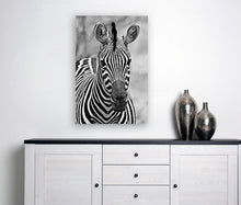 Load image into Gallery viewer, ANI-11 Natural World Zebra Print Wall Art Décor Picture Framed