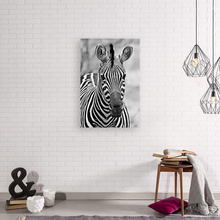 Load image into Gallery viewer, ANI-11 Natural World Zebra Print Wall Art Décor Picture Framed