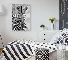 Load image into Gallery viewer, ANI-11 Natural World Zebra Print Wall Art Décor Picture Framed