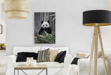 Load image into Gallery viewer, ANI-14 Natural World Panda Print Wall Art Décor Picture Framed