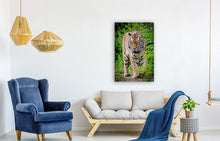 Load image into Gallery viewer, ANI-15 Natural World Tiger Print Wall Art Décor Picture Framed