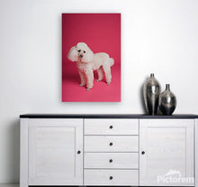 Load image into Gallery viewer, ANI-16 Natural World Dog Print Wall Art Décor Picture Framed