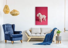 Load image into Gallery viewer, ANI-16 Natural World Dog Print Wall Art Décor Picture Framed