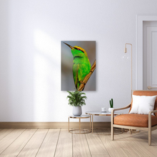 Load image into Gallery viewer, ANI-19 Natural World European Bee-Eater Print Wall Art Décor Picture Framed