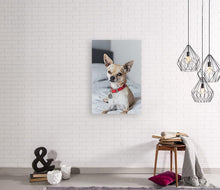 Load image into Gallery viewer, ANI-24 Natural World Dog Print Wall Art Décor Picture Framed