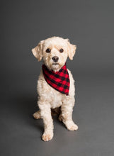 Load image into Gallery viewer, ANI-25 Natural World Dog Print Wall Art Décor Picture Framed