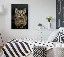 Load image into Gallery viewer, ANI-26 Natural World Cat Print Wall Art Décor Picture Framed