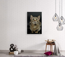 Load image into Gallery viewer, ANI-26 Natural World Cat Print Wall Art Décor Picture Framed