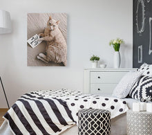 Load image into Gallery viewer, ANI-29 Natural World Cat Print Wall Art Décor Picture Framed