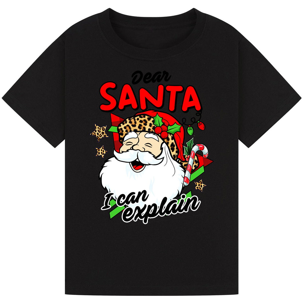 Dear Santa, I Can Explain Tee
