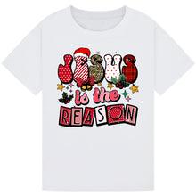 Load image into Gallery viewer, Jesus is the Reason Tee
