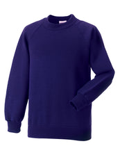 Load image into Gallery viewer, Kids Classic Sweatshirt
