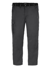 Lade das Bild in den Galerie-Viewer, Kiwi Tailor Trouser (R)
