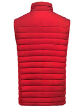 Load image into Gallery viewer, Arches Vest
