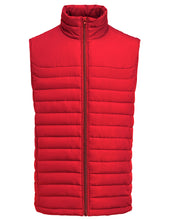 Load image into Gallery viewer, Arches Vest
