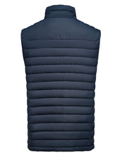 Load image into Gallery viewer, Arches Vest
