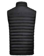 Load image into Gallery viewer, Arches Vest
