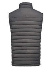 Load image into Gallery viewer, Arches Vest
