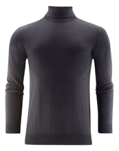 Load image into Gallery viewer, Ashland Turtle Neck Knit
