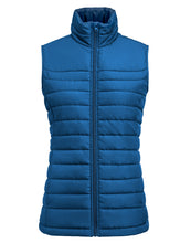 Load image into Gallery viewer, Ladies Arches Vest
