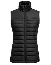 Load image into Gallery viewer, Ladies Arches Vest

