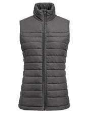 Load image into Gallery viewer, Ladies Arches Vest
