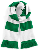 Load image into Gallery viewer, Stadium Scarf
