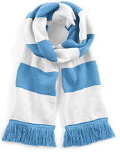 Load image into Gallery viewer, Stadium Scarf

