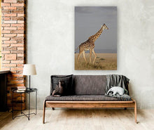 Load image into Gallery viewer, ANI-02 Natural world giraffe Canvas Wall Art Décor Picture Framed

