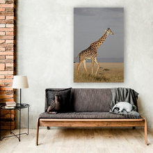 Load image into Gallery viewer, ANI-02 Natural world giraffe Canvas Wall Art Décor Picture Framed
