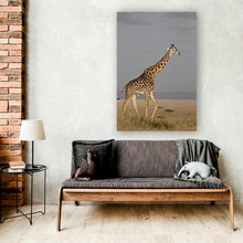 Lade das Bild in den Galerie-Viewer, ANI-02 Natural world giraffe Canvas Wall Art Décor Picture Framed
