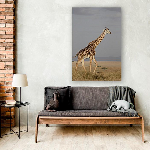 ANI-02 Natural world giraffe Canvas Wall Art Décor Picture Framed