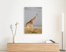 Load image into Gallery viewer, ANI-02 Natural world giraffe Canvas Wall Art Décor Picture Framed
