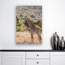 Lade das Bild in den Galerie-Viewer, ANI-03 Natural World Giraffe Print Wall Art Décor Picture Framed
