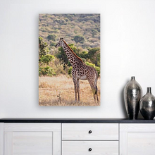 Load image into Gallery viewer, ANI-03 Natural World Giraffe Print Wall Art Décor Picture Framed
