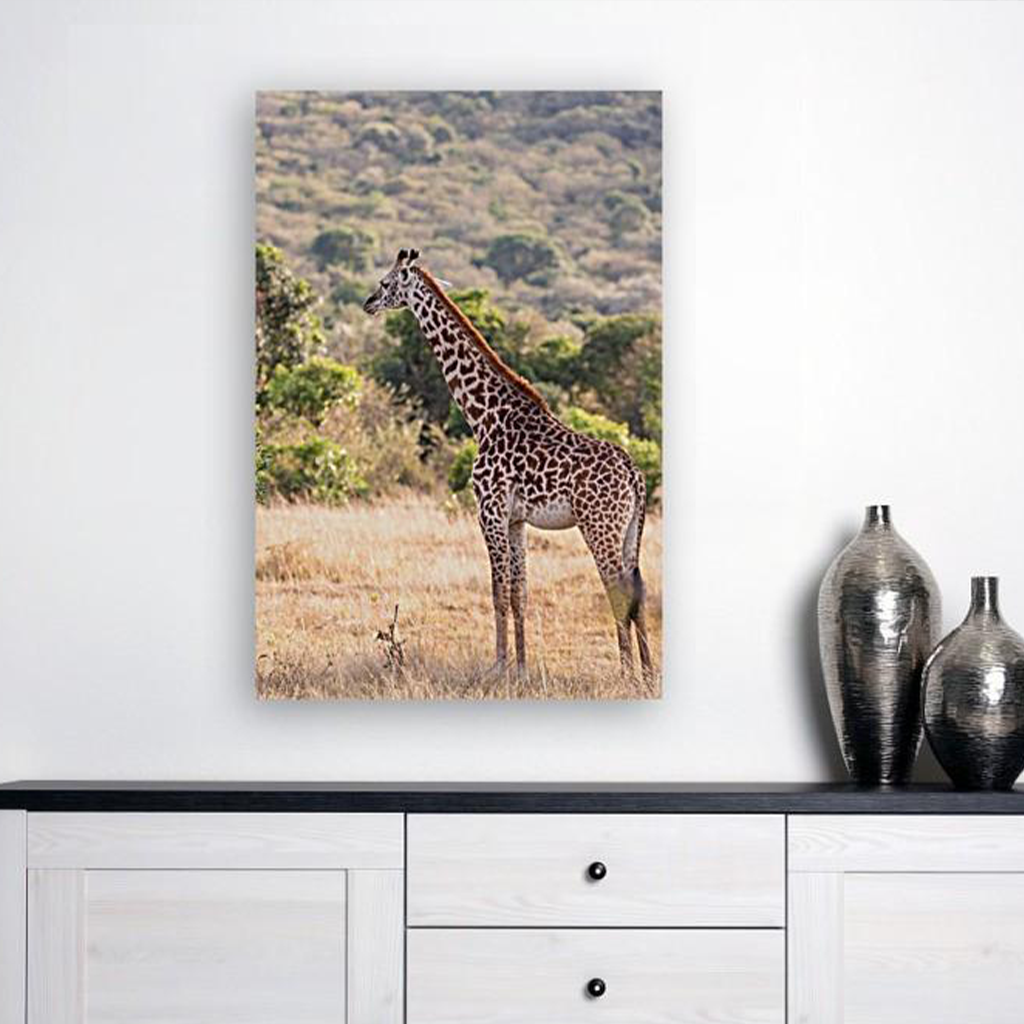 ANI-03 Natural World Giraffe Print Wall Art Décor Picture Framed