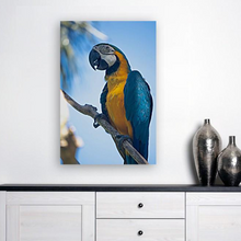 Lade das Bild in den Galerie-Viewer, ANI-04 Natural world Parrot Print Wall Art Décor Picture Framed
