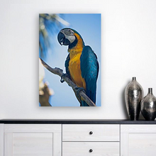 Load image into Gallery viewer, ANI-04 Natural world Parrot Print Wall Art Décor Picture Framed
