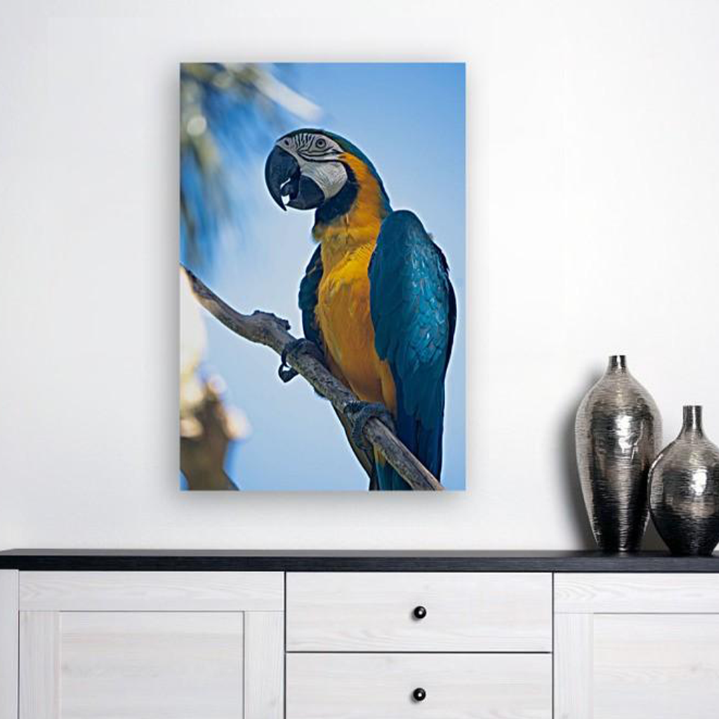 ANI-04 Natural world Parrot Print Wall Art Décor Picture Framed