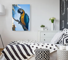 Lade das Bild in den Galerie-Viewer, ANI-04 Natural world Parrot Print Wall Art Décor Picture Framed

