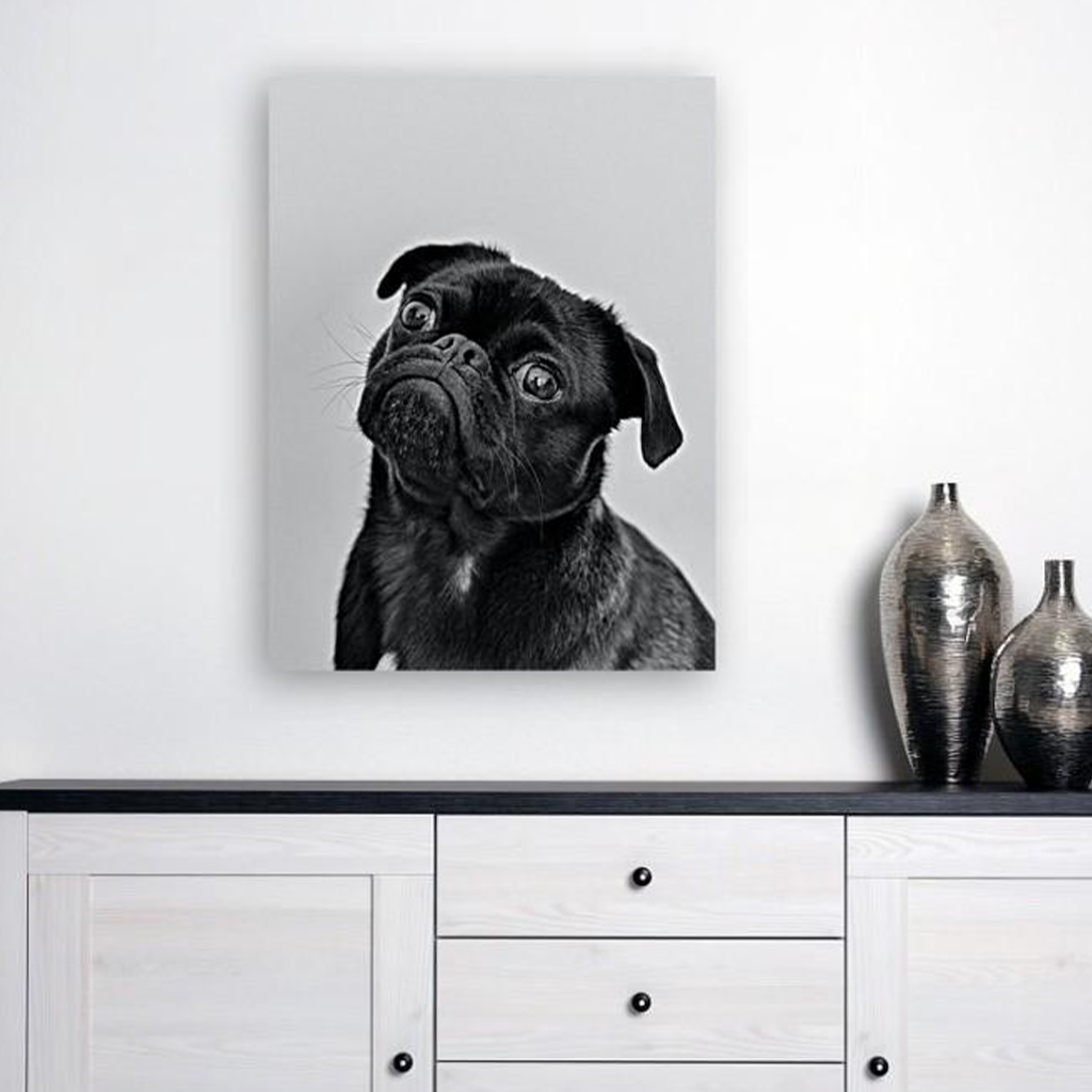 ANI-06 Natural world dog black & white Print Wall Art Décor Picture Framed