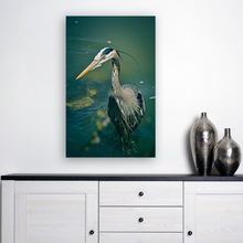 Load image into Gallery viewer, ANI-07 Natural world bird Print Wall Art Décor Picture Framed
