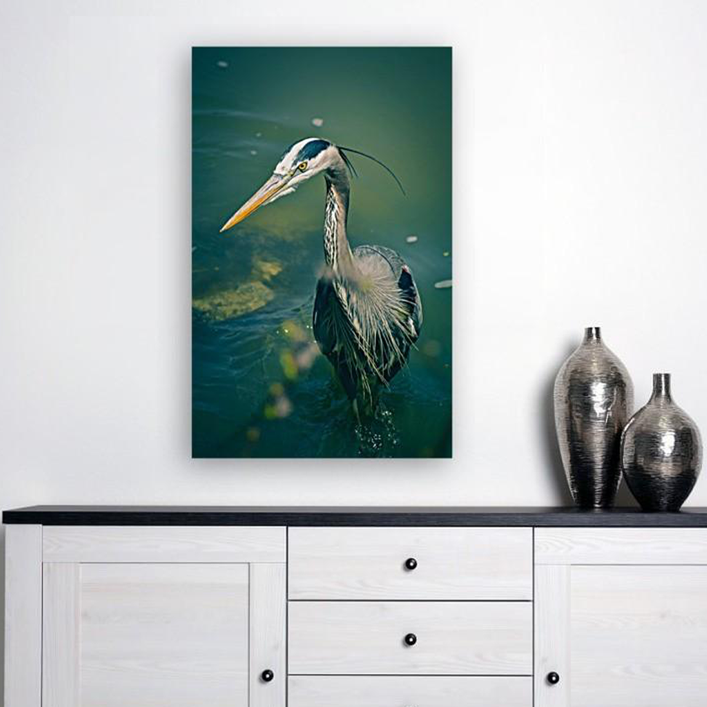 ANI-07 Natural world bird Print Wall Art Décor Picture Framed